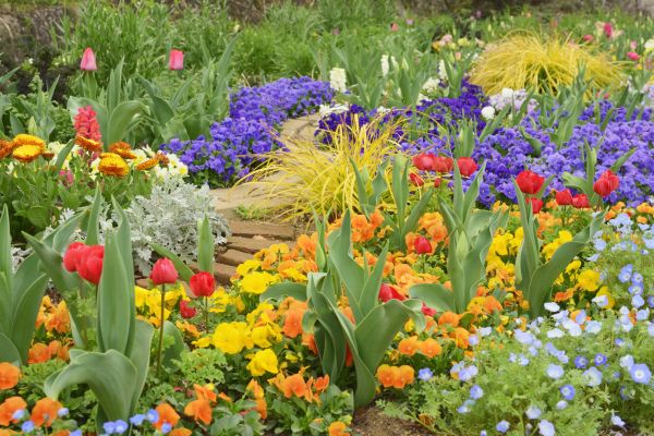Garden Renovation in Columbus