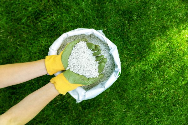 Lawn Repair Service in Columbus