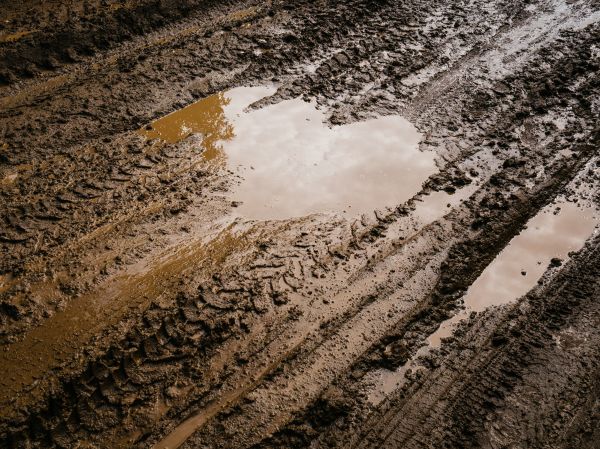 Lawn Rut Repair in Columbus