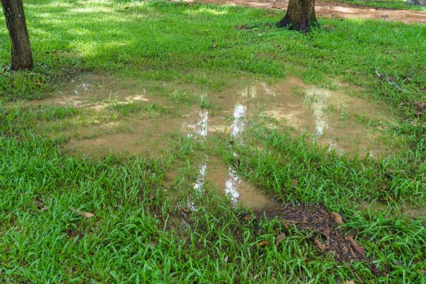Storm Water Drainage Service in Columbus