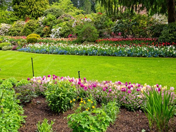 Residential Landscape Design in Columbus
