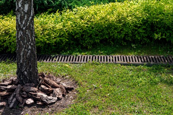 Wet Yard Drainage in Columbus