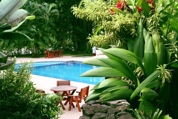 Pool Area Landscaping in Columbus