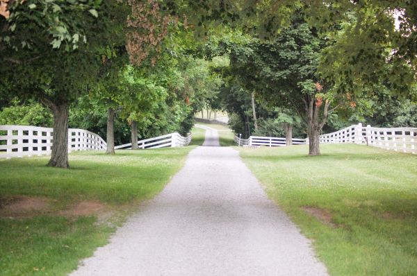 Driveway Graveling Service in Columbus