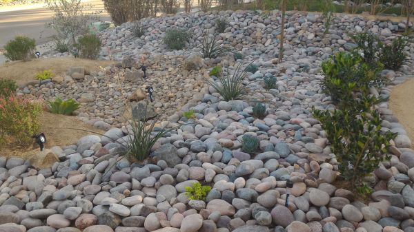Yard Xeriscaping in Columbus