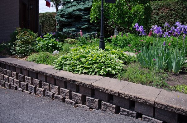 Yard Erosion Repair in Columbus