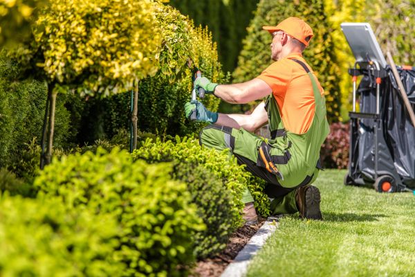Yard Repair in Columbus