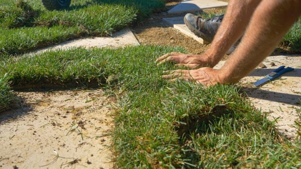 Grass Patching in Columbus