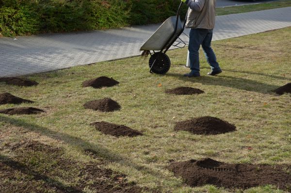 Spring Lawn Repair in Columbus