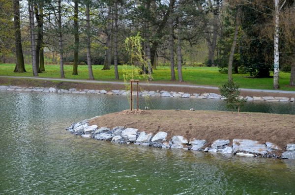 Pond Landscaping Service in Columbus