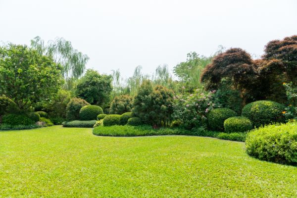 Landscape Repair in Columbus